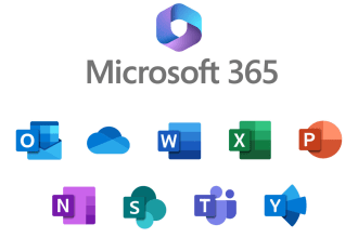 provide expert consultation for m365 tools and technologies