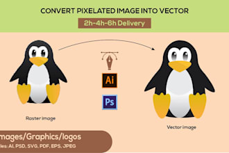 professionally recolor, retrace, redraw your image into high resolution