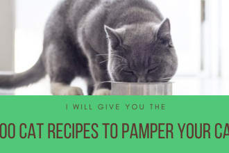 give the 100 cat recipes to pamper your cat
