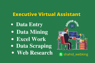 be your professional executive virtual assistant