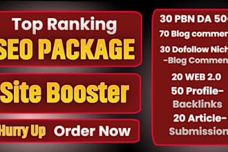 provide  best SEO package top ranking in google