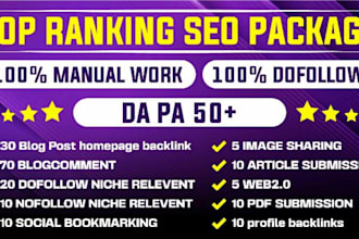 provide  best SEO package top ranking in google