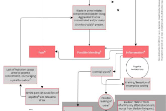 design a professional flowchart in lucidchart
