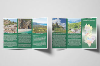 design unique professional bifold or trifold brochure