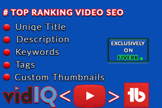 do youtube video seo by vidiq tubebuddy