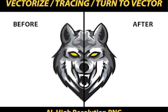 vectorize or vector tracing in 1 day