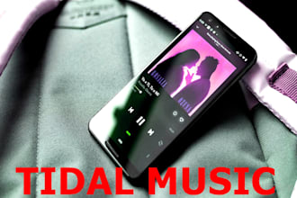 do organic tidal music promotion to the music industry