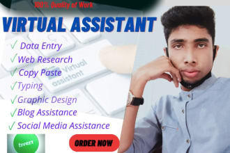 be your professional virtual executive assistant