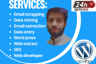 do web scrapping  data mining email extraction data scraping