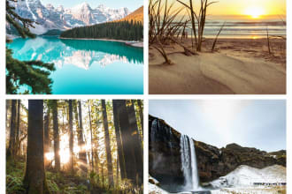 provide nature soundtrack background ambiance