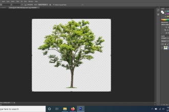 do background removal, photo editing, white, cut out images