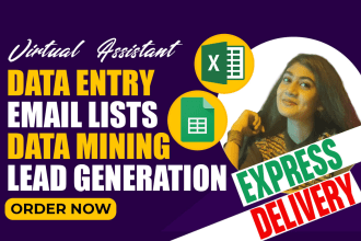 collect email lists address, excel data entry, data scraping