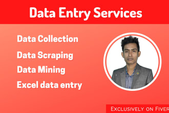 do data collection, extraction, and excel data entry work
