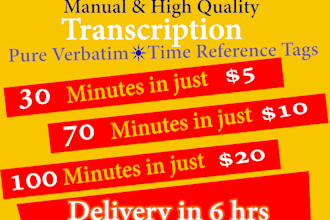 transcribe audio and video transcription in 24 hours