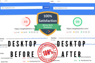 optimize wordpress page speed for your website