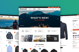 build a customized wordpress ecommerce website for your online store