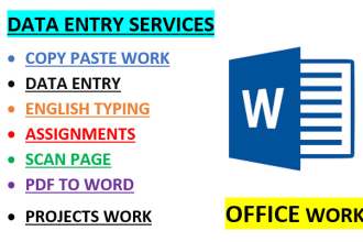 do data entry typing work, ms word typing, english typing