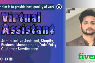 be your personal virtual assistant, data entry expert