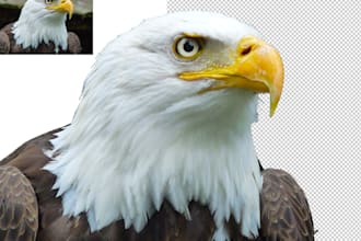 do transparent background and photoshop edit