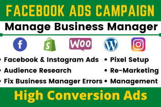create profitable facebook ads campaign and manage business manager