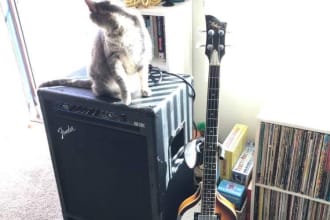 record electric bass for your track