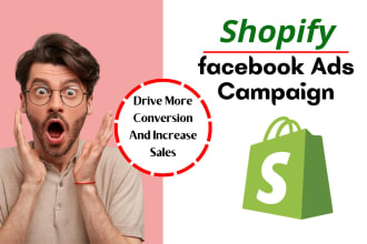 setup shopify facebook ads and instagram ads campaign