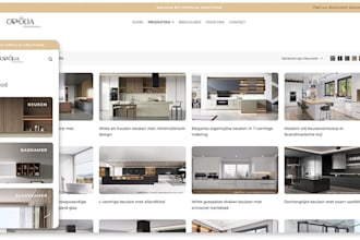 create a competitive business website for wordpress or any technology
