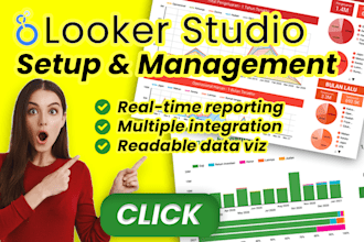 setup dashboard google data looker studio with eye appealing data visualization