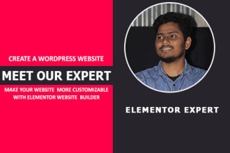 be your wordpress elementor website expert