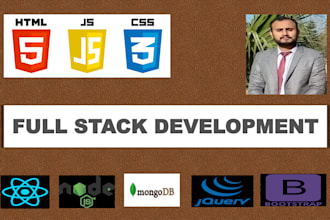 develop professional websites in html css react js javascript and node js