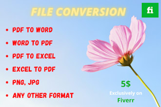 do any file conversion, convert files, pdf to word, excel, jpg