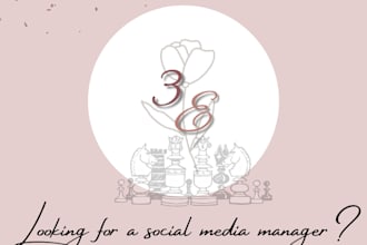 be your instagram account manager