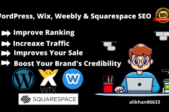 provide pro SEO services for wordpress wix weebly squarespace