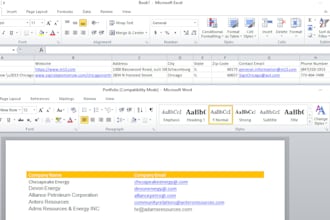 do data entry on excel, pdf to word, web research