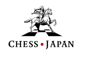 design an astonishing chess store logo in high definition