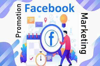 do facebook marketing and promotion for your business to real fans in USA