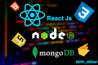 professional reactjs nodejs and mongodb developer