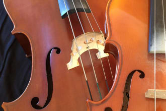 compose emotive instrumental strings music