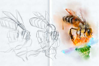 draw realistic pencil sketches,watercolors