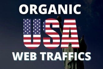 drive keyword targeted organic web traffic usa