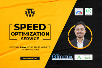 do wordpress speed optimization, google page speed, gtmetrix, core web vitals