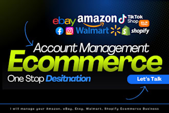 va for ebay walmart shopify amazon temu tiktok etsy shein wix