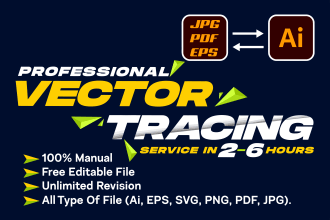 provide professional vector tracing service