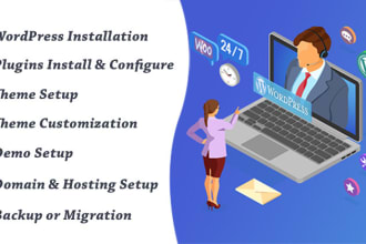 do wordpress, plugin, theme installation, setup, do customization