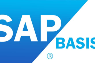 do sap system installation and sap basis administration