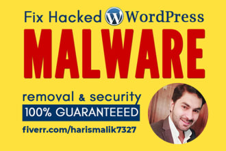 remove malware from wordpress website and implement security