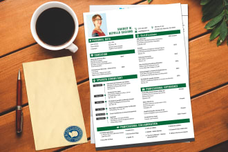 design infographic resume, CV and cover letter