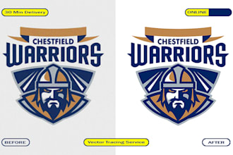 vectorise, vector tracing your logo or image