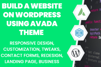 build a professional and unique wordpress website