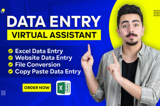 do data entry,  file conversion, copy paste, and web scraping